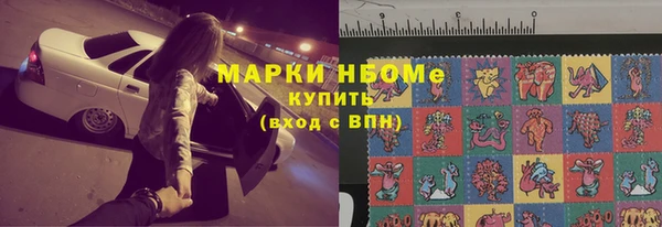стафф Елизово