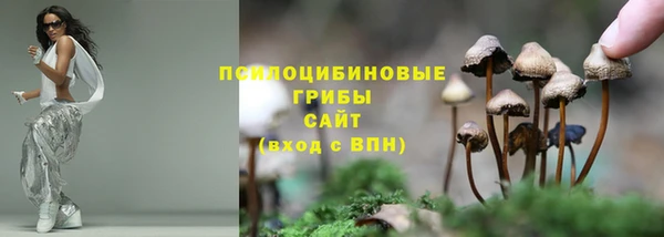 ешки Баксан
