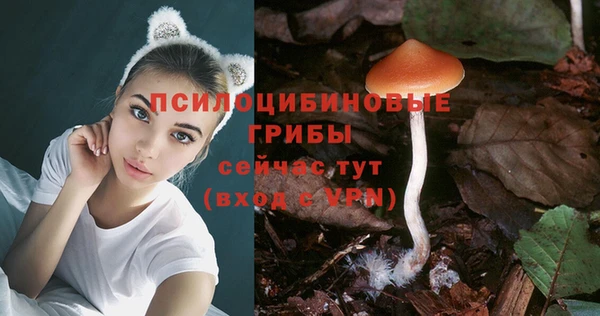 амф Балабаново
